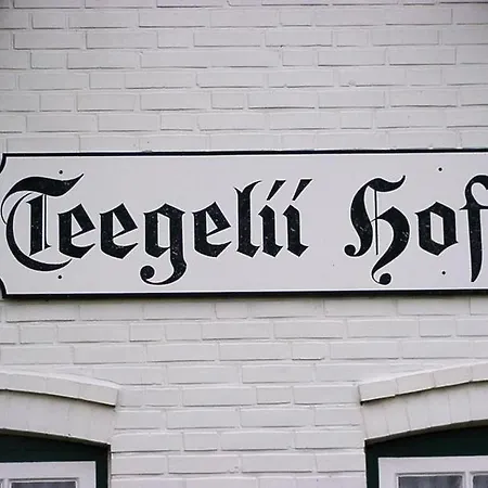 Teegelii Hof Blaue Stranddistel Teegelii Hof Rantum (Sylt)